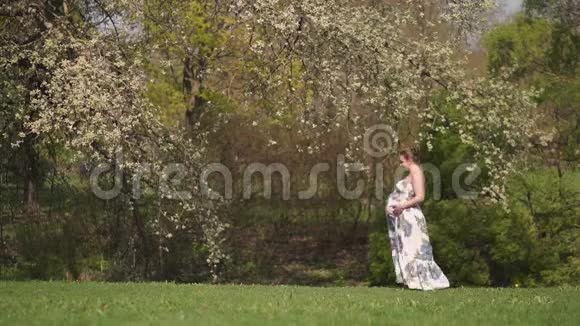 年轻的旅行者孕妇在公园里散步跑步转身享受闲暇时光视频的预览图