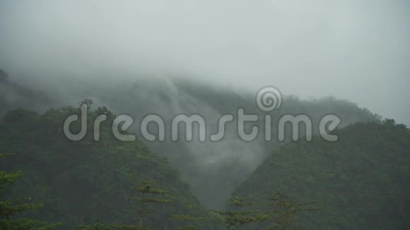 雾在山里视频的预览图
