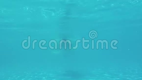 泳池里的男孩视频的预览图