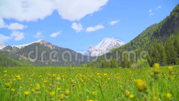 美丽的阿尔普山景视频的预览图