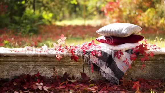 秋天温暖的日子印度夏季在花园里野餐毯子和枕头的灰色勃艮第和绿色视频的预览图