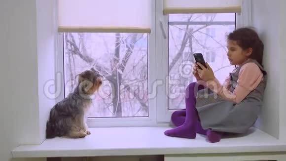 少女在网上玩智能手机游戏狗坐在宠物窗台上视频的预览图