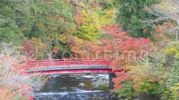 日本东北地区青森县千里光市中野寺的福多溪和红桥视频的预览图