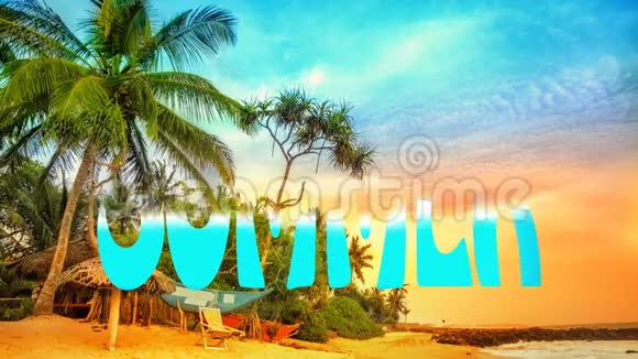 带棕榈的热带海滩滩和热带海洋视频的预览图