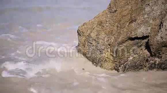 在海滩上浪视频的预览图