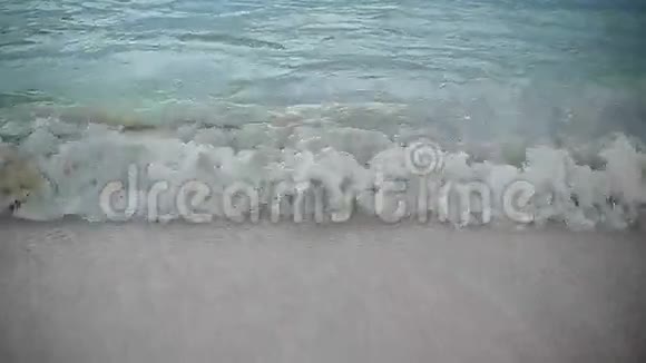在海滩上浪视频的预览图