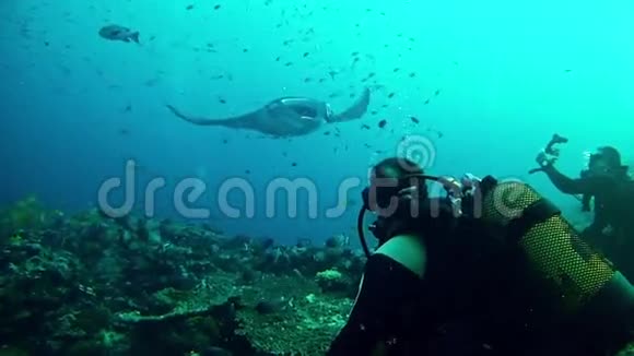 潜水马尔代夫曼塔雷视频的预览图