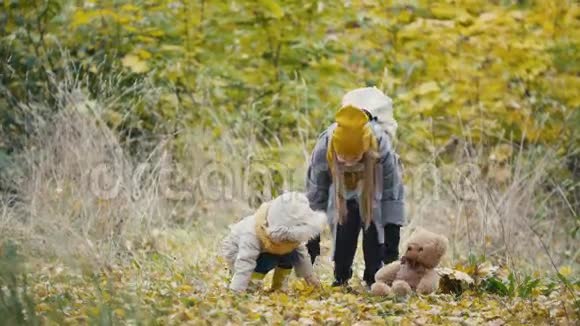 小女儿和妈妈在秋天公园玩黄叶视频的预览图