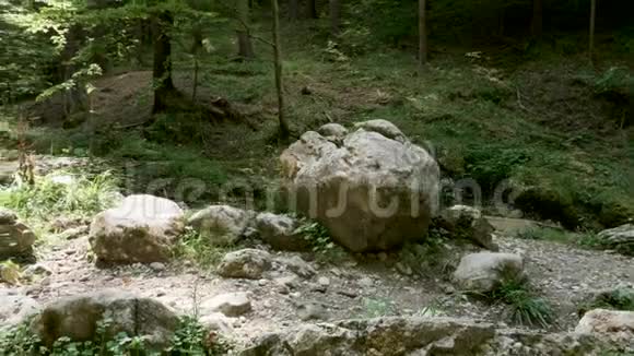 在美丽的山林中旅游视频的预览图