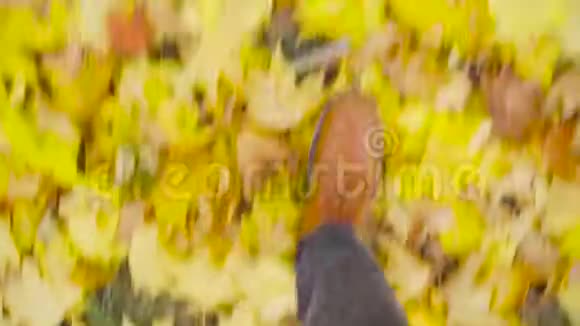 一个穿皮鞋的人正在公园里散步秋季季节视频的预览图