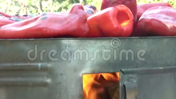 烤火烧烤红辣椒视频的预览图