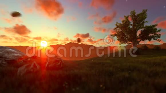 小男孩带着飞机玩具在绿色的草地上生命之树美丽的日落视频的预览图