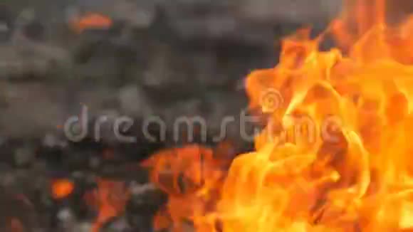 火焰火焰近景视频的预览图