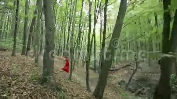 美丽的女孩在森林里散步视频的预览图