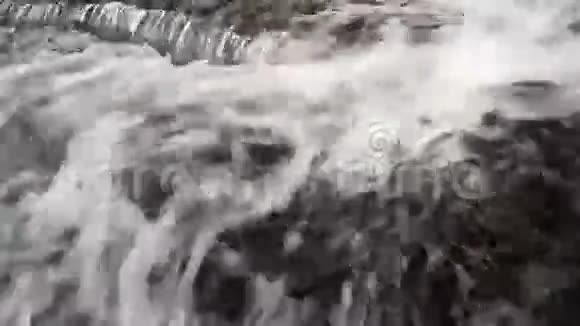 丛林中的瀑布视频的预览图
