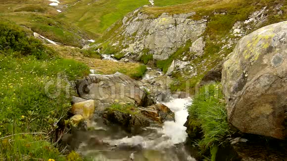 在阿尔卑斯山的小山涧上水在绿色的草地上流过石头视频的预览图