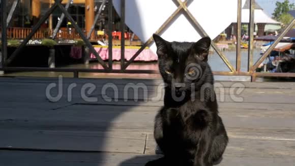 黑猫休息和舔躺在木墩上的芭堤雅浮动市场泰国视频的预览图