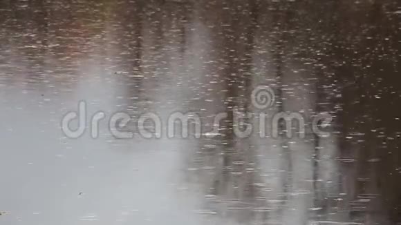 雨水滴在水上视频的预览图