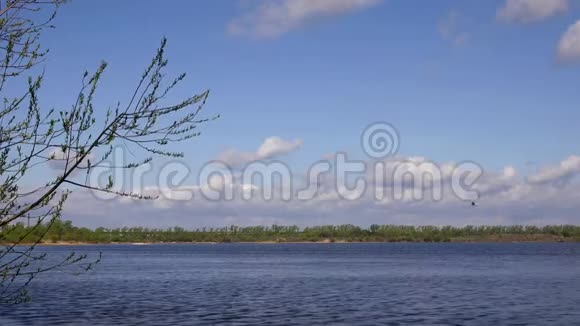 美丽的河景透过树木映着水上的云彩视频的预览图