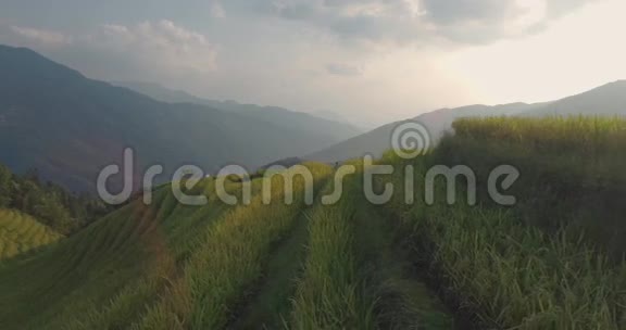 隆基水稻梯田视频的预览图