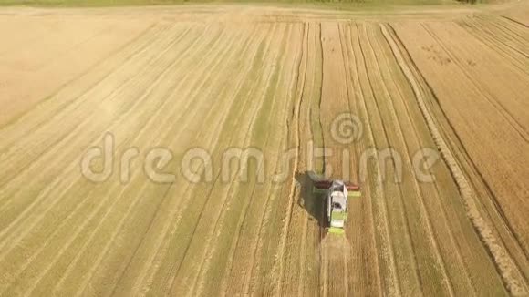 收割者在田间劳作播种小麦乌克兰录像4k视频的预览图