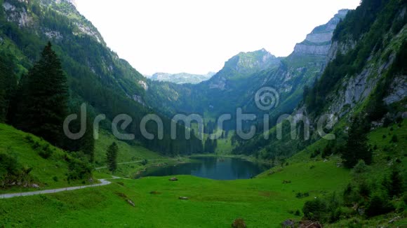 瑞士阿尔卑斯山典型的风景如画视频的预览图