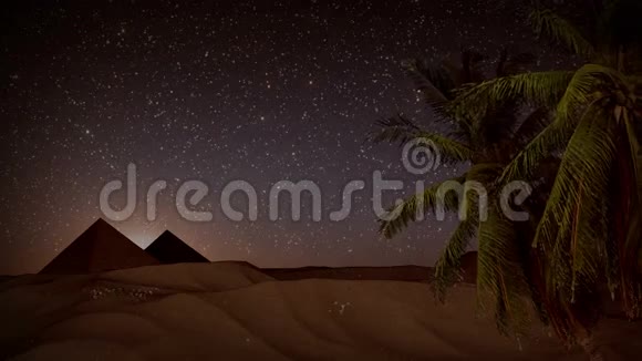 夜间无缝动画沙漠沙尘暴棕榈树闪亮的星星和金字塔背景景观视频的预览图