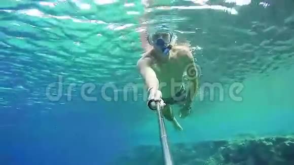 埃及红海多彩礁上鱼的年轻人视频的预览图