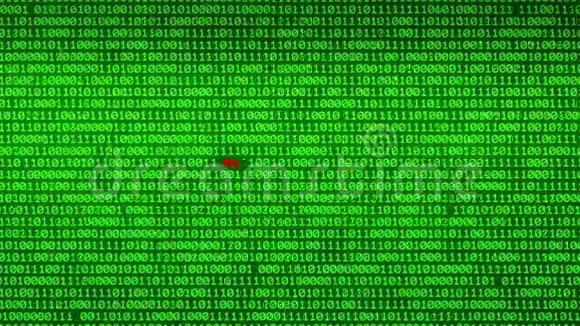 绿色二进制码显示MALWARE保护数据矩阵的墙视频的预览图