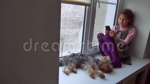 少女上网玩智能手机游戏宠物狗坐在窗台上视频的预览图