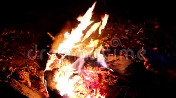 人在火边暖手篝火晚会黑暗背景上的巨大火焰篝火特写视频的预览图