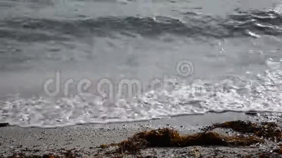 深秋海浪拍打着沙质海岸视频的预览图