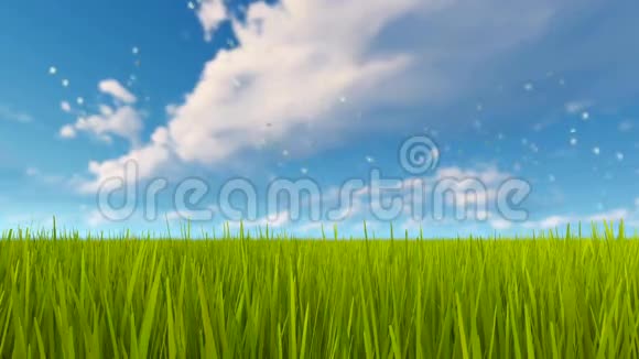 绿草和多云的天空视频的预览图