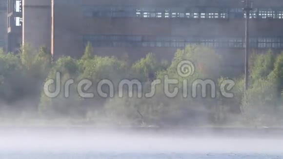 工厂在雾中视频的预览图