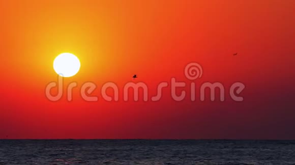 太阳在地平线上海浪上的戏剧性日出视频的预览图