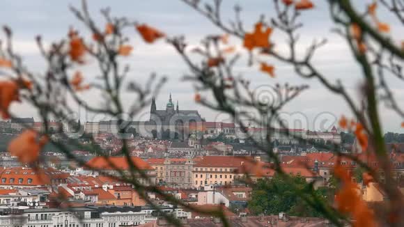 在捷克布拉格旧城镇建筑与红色屋顶的鸟瞰布拉格圣维特大教堂视频的预览图