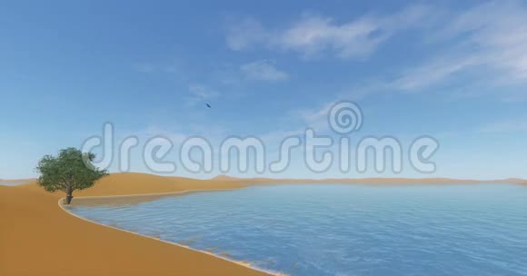 在沙漠和沙丘上飞行的4k云在海洋海滩上的一棵孤独的树视频的预览图