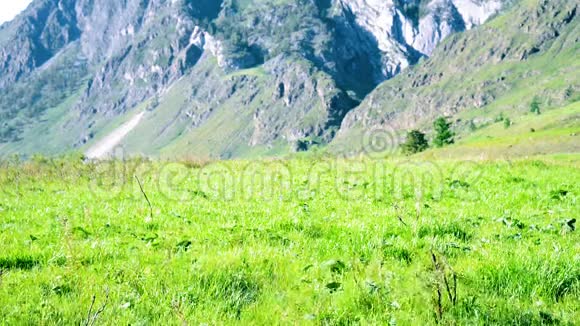 徒步旅行者带着背包在绿色的山地草地上行走夏季运动和娱乐理念视频的预览图