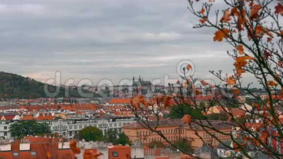 在捷克布拉格旧城镇建筑与红色屋顶的鸟瞰布拉格圣维特大教堂视频的预览图