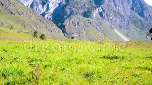 徒步旅行者带着背包在绿色的山地草地上行走夏季运动和娱乐理念视频的预览图