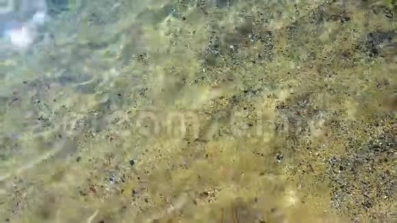 透明清水背景视频的预览图
