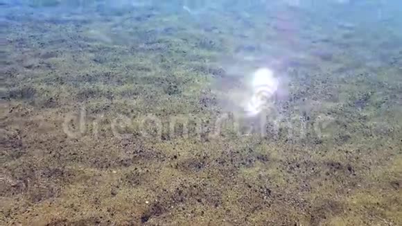 透明清水背景视频的预览图