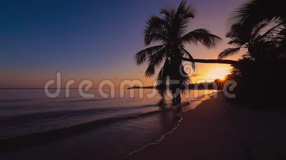 热带海滩上美丽的日出和奇异的棕榈树视频的预览图