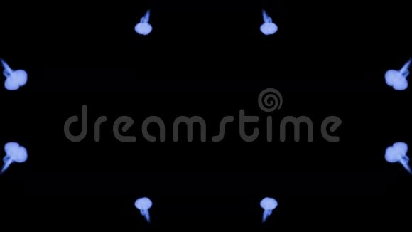 水墨万花筒是一种抽象的水墨背景如罗夏墨迹测试蓝色墨水或烟雾以黑色缓慢隔离视频的预览图