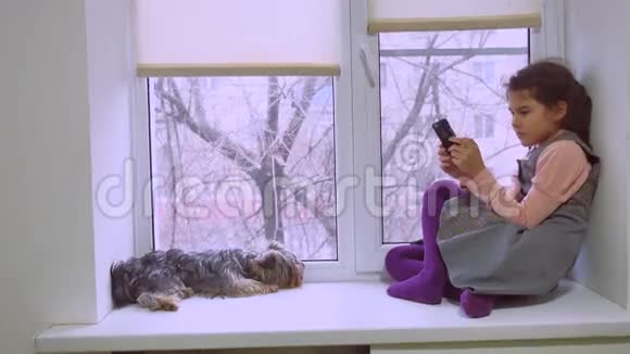 女孩玩网络游戏智能手机和狗坐在宠物窗台窗台视频的预览图
