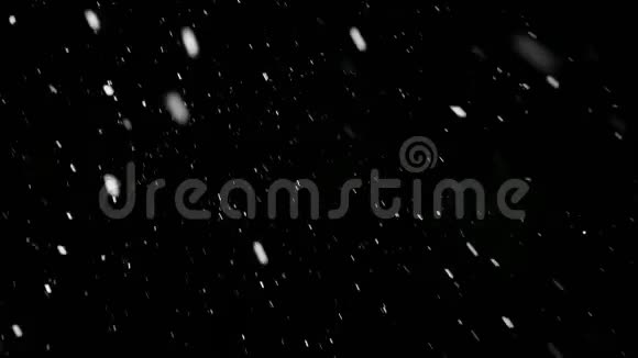 夜间降雪视频的预览图