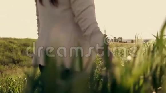 日落时分女人的手在麦田里奔跑视频的预览图