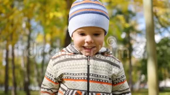 秋天公园的孩子玩得开心笑得开心在新鲜的空气中散步视频的预览图