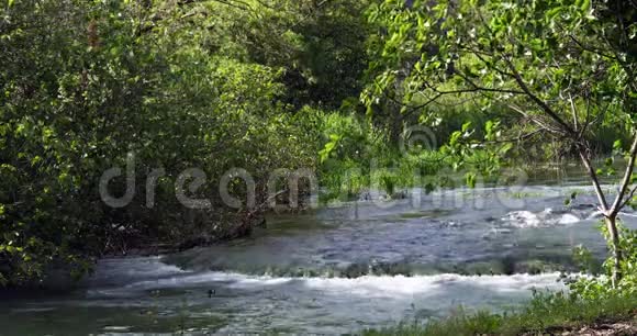 罗格瀑布罗斯基斯拉普克尔卡自然公园靠近锡贝尼克在达马尔蒂亚克罗地亚实时视频的预览图