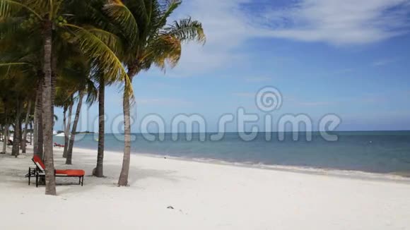 热带海滩有棕榈树和酒廊视频的预览图
